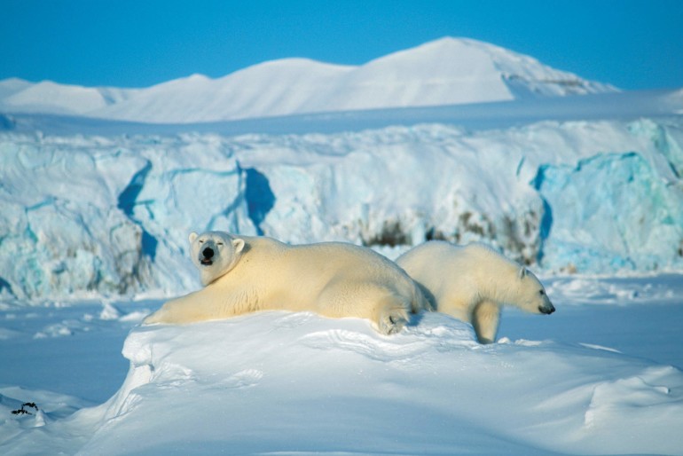 Till Svalbard med Solresor